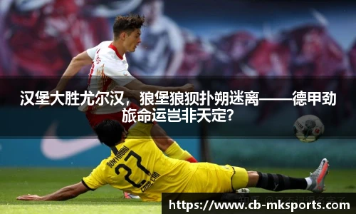 汉堡大胜尤尔汉，狼堡狼狈扑朔迷离——德甲劲旅命运岂非天定？